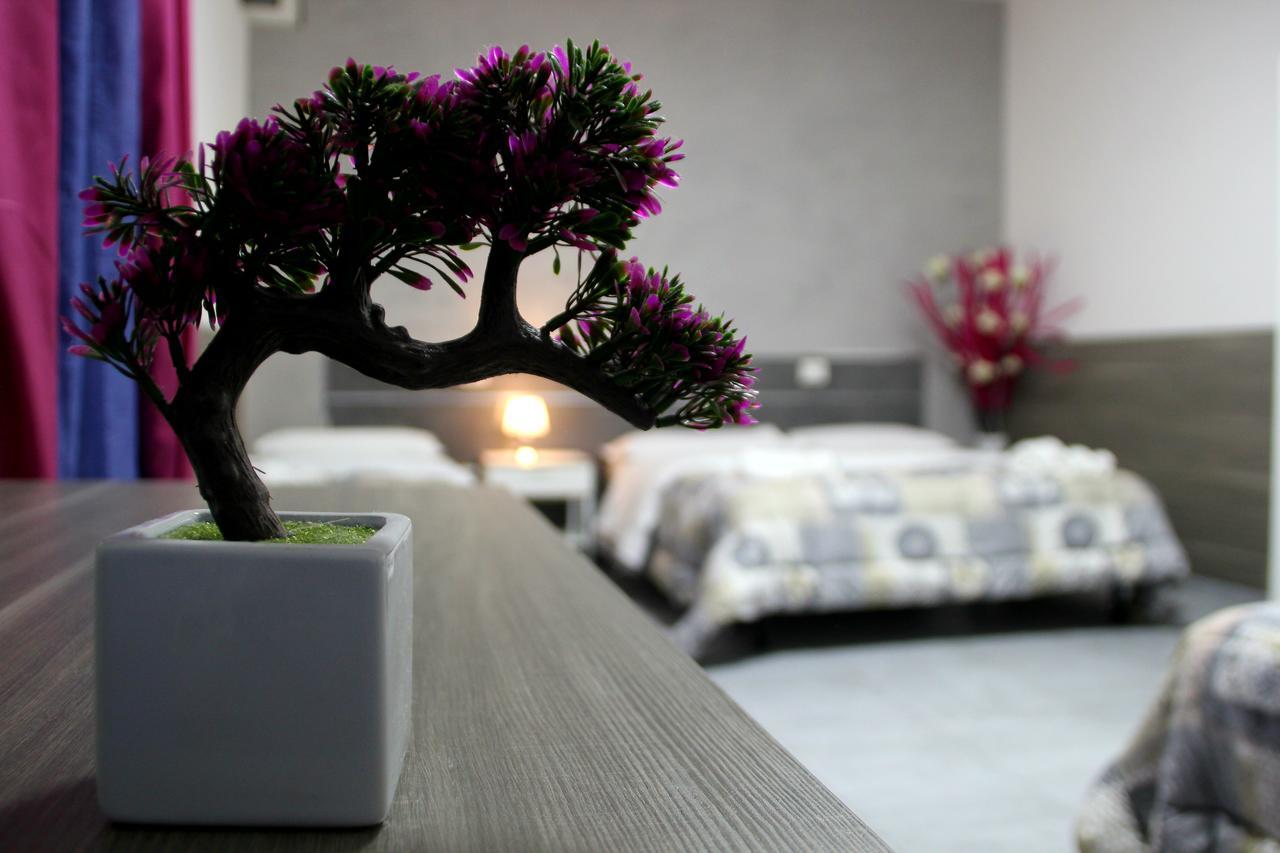 Comfort Quadruple Room