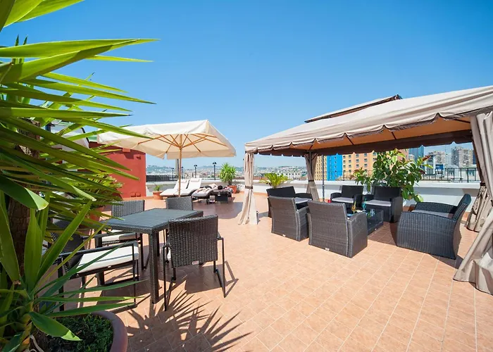 Hôtel accueillant les animaux: Hotel Tiempo