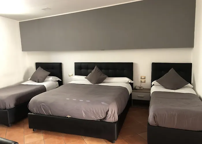 Hôtel accueillant les animaux: Hotel Nettuno