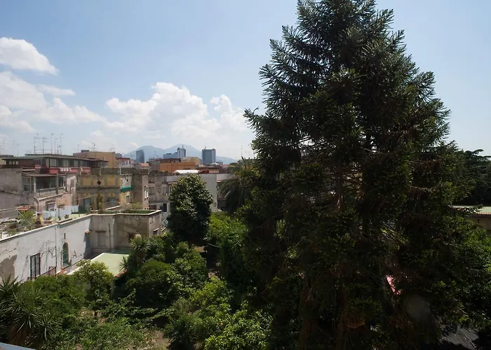 B&B milionaria Foria 242